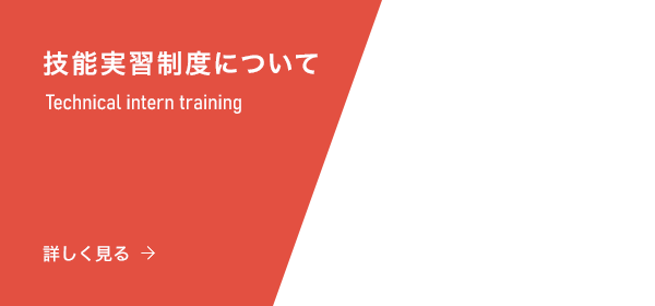 技能実習制度について